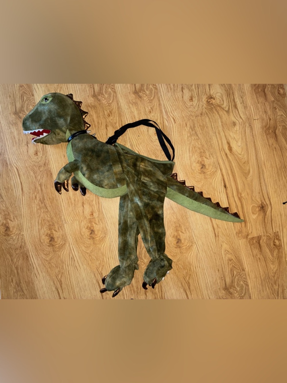 Kids Riding Green Dinosaur Costume with Tail and Claws